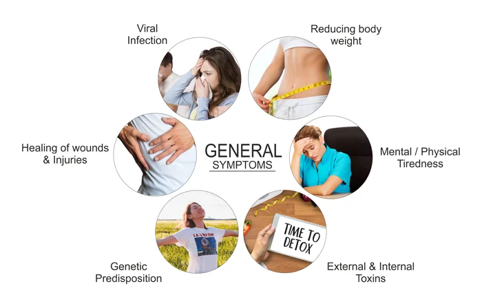 How to Choose Premium Quality Herbal Wellness Products